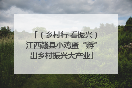 （乡村行·看振兴）江西赣县小鸡蛋“孵”出乡村振兴大产业