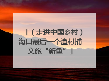 （走进中国乡村）海口最后一个渔村捕文旅“新鱼”