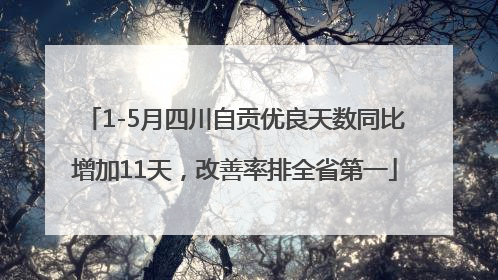1-5月四川自贡优良天数同比增加11天，改善率排全省第一