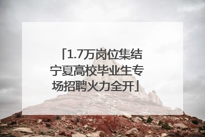 1.7万岗位集结 宁夏高校毕业生专场招聘火力全开