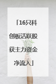 16只科创板活跃股获主力资金净流入