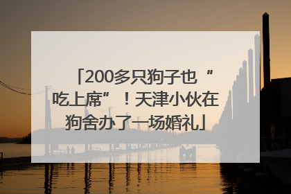 200多只狗子也“吃上席”！天津小伙在狗舍办了一场婚礼