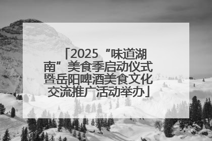 2025“味道湖南”美食季启动仪式暨岳阳啤酒美食文化交流推广活动举办