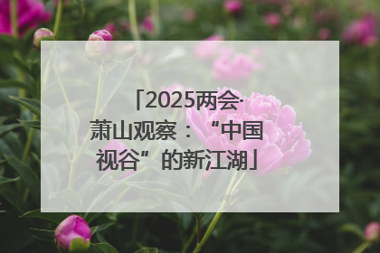 2025两会·萧山观察：“中国视谷”的新江湖
