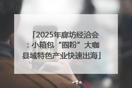 2025年廊坊经洽会：小箱包“圈粉”大咖 县域特色产业快速出海