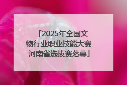 2025年全国文物行业职业技能大赛河南省选拔赛落幕