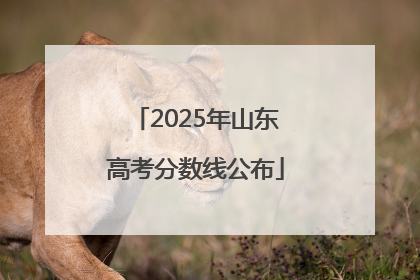 2025年山东高考分数线公布