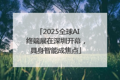 2025全球AI终端展在深圳开幕，具身智能成焦点