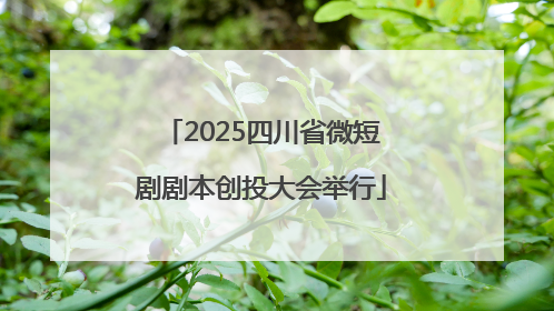 2025四川省微短剧剧本创投大会举行