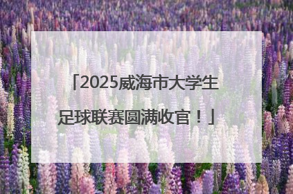 2025威海市大学生足球联赛圆满收官！