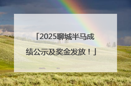 2025聊城半马成绩公示及奖金发放！