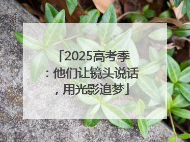 2025高考季：他们让镜头说话，用光影追梦