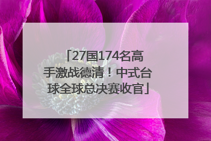 27国174名高手激战德清！中式台球全球总决赛收官