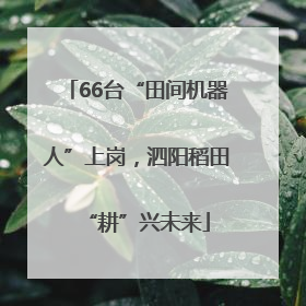 66台“田间机器人”上岗，泗阳稻田“耕”兴未来