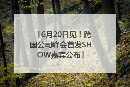 6月20日见！跨国公司峰会首发SHOW嘉宾公布