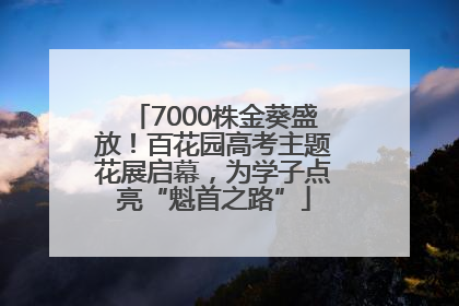 7000株金葵盛放！百花园高考主题花展启幕，为学子点亮“魁首之路”