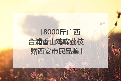 8000斤广西合浦香山鸡嘴荔枝赠西安市民品鉴