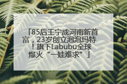 85后王宁成河南新首富，23岁创立泡泡玛特！旗下Labubu全球爆火“一娃难求”
