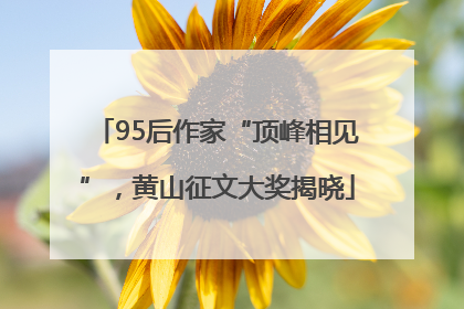 95后作家“顶峰相见”，黄山征文大奖揭晓