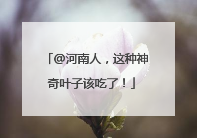 @河南人，这种神奇叶子该吃了！