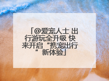 @爱宠人士 出行游玩全升级 快来开启“携宠出行”新体验