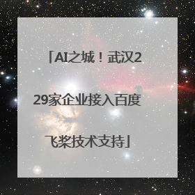 AI之城！武汉229家企业接入百度飞桨技术支持