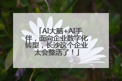 AI大脑+AI手伴，面向企业数字化转型，长沙这个企业太会整活了！